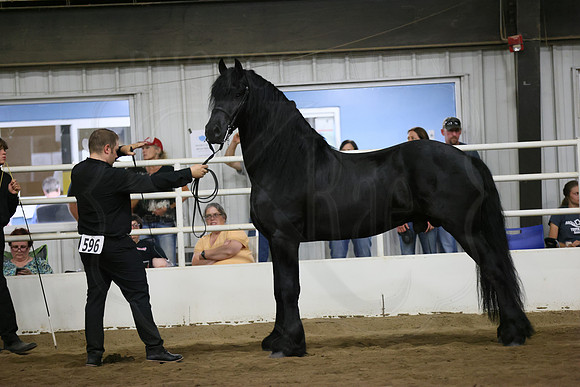 BN5A4365