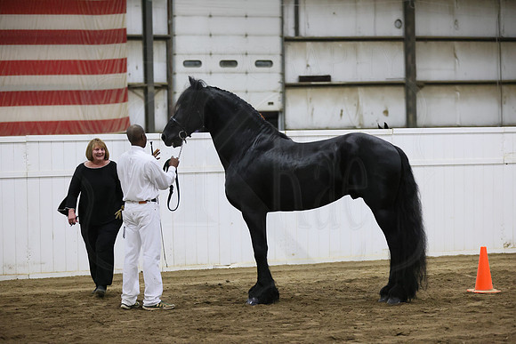 BN5A5180
