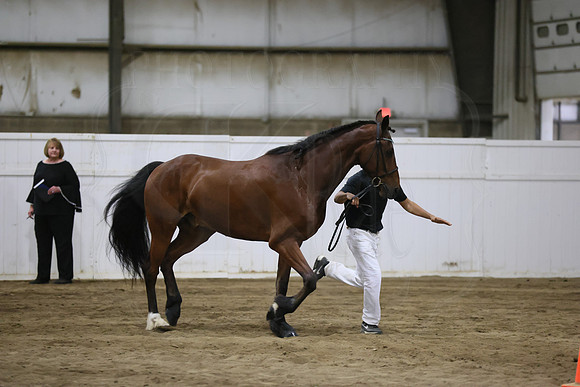 BN5A5481