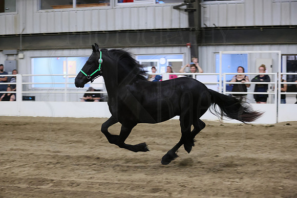 BN5A6464