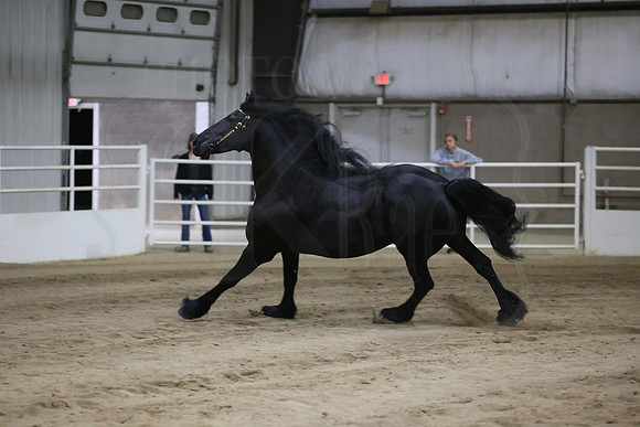BN5A6974