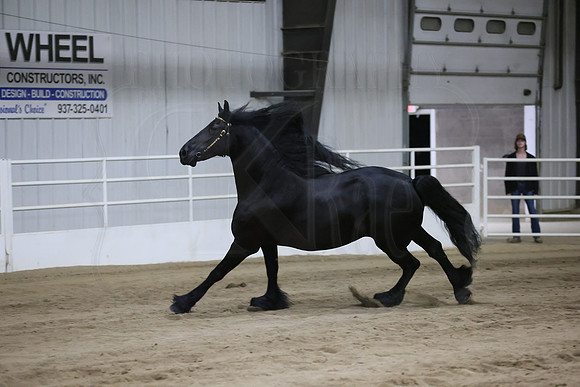BN5A6979
