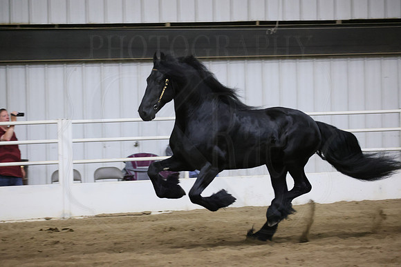BN5A8516