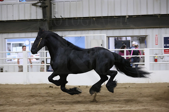 BN5A8528