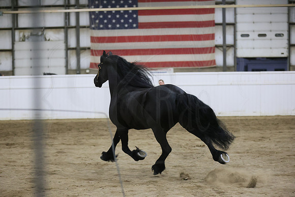 BN5A7070