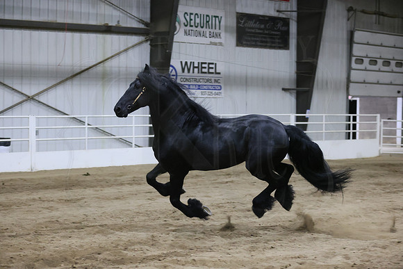BN5A8544