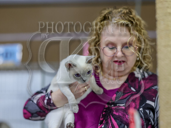 CatShowSat-0995