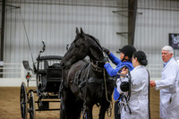 BN5A8211