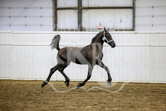 BN5A3113