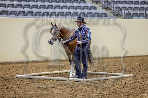 LgcySa-1091