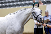 LgcySu-3987