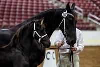 KraeInKF-4336