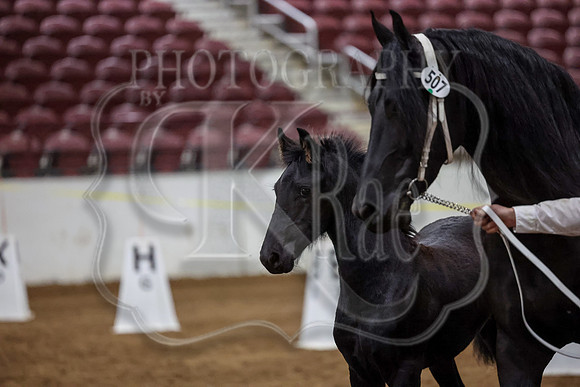 KraeInKF-4767