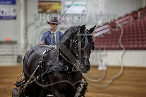 KraeInKF-0543