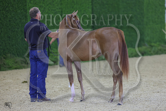 KraeR14fri-0367