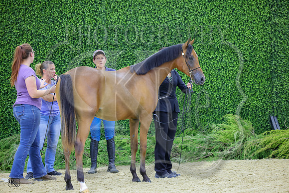 KraeR14fri-0396