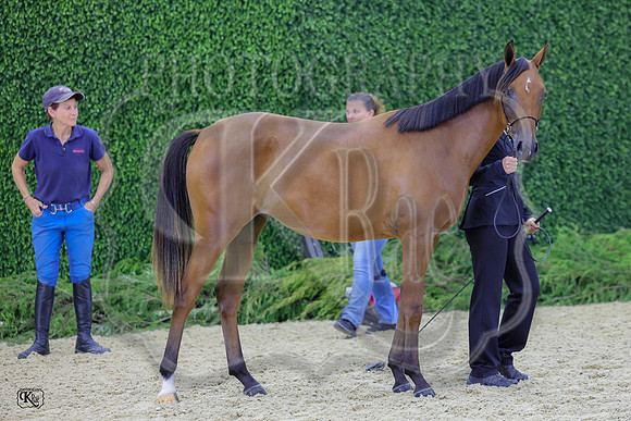 KraeR14fri-0406