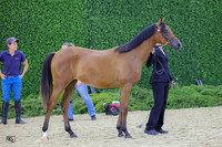KraeR14fri-0408