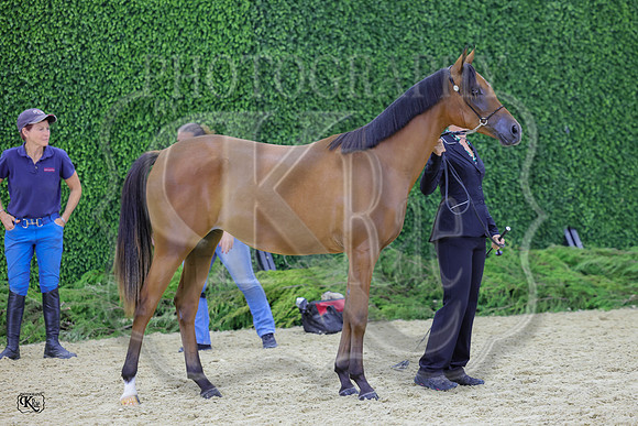 KraeR14fri-0408