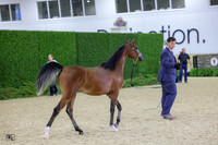 KraeR14fri-0411