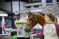 KraeR14fri-0752