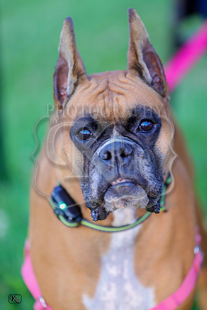 KraeR14fri-0942