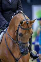 KraeR14sat-0032