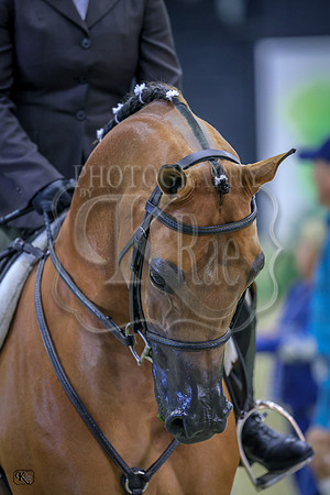 KraeR14sat-0032