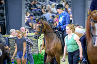 KraeR14sat-0958