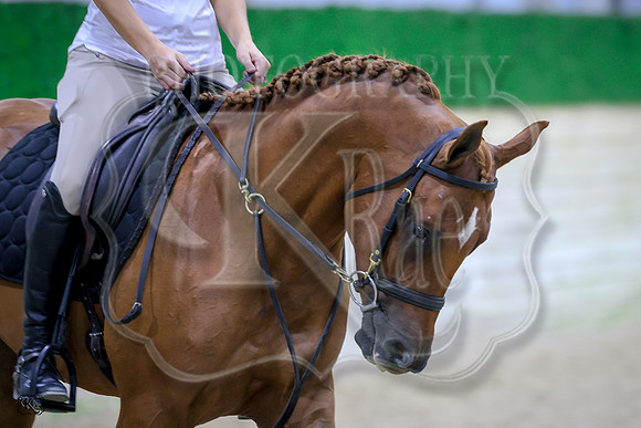 KraeR14sat-1158