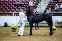 BN5A2042