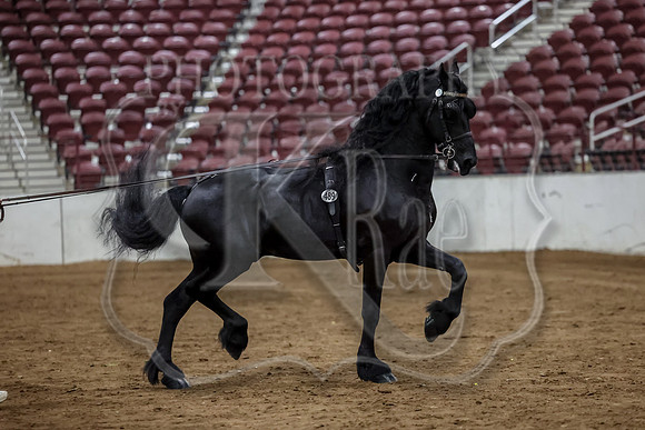 KraeInKF-0643