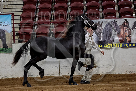 KraeInKS-0988