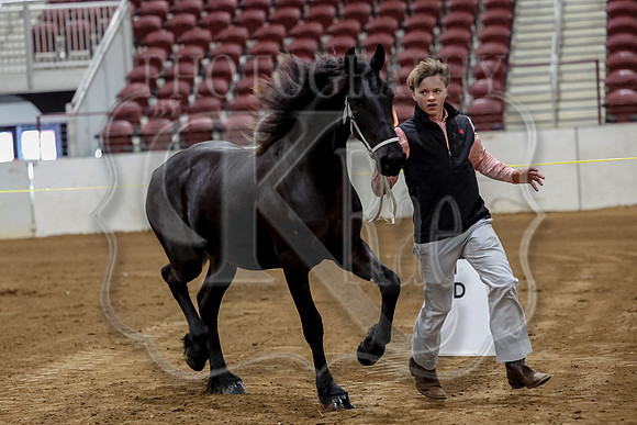 KraeInKS-2011