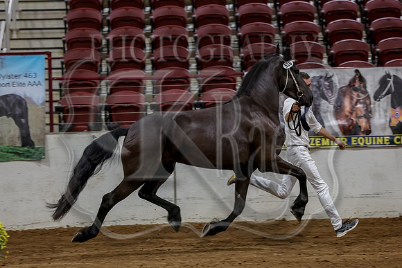 KraeInKS-3994