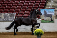 KraeInKS-4307