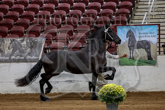 KraeInKS-4307