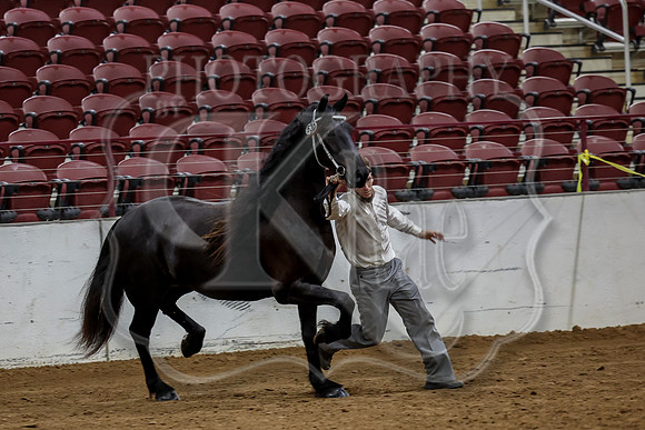 KraeInKS-4498