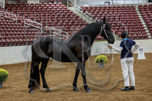KraeInKS-4678