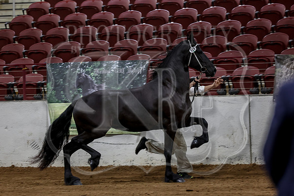 KraeInKS-4795