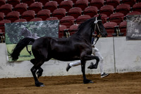 KraeInKS-4979