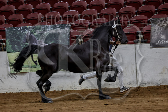 KraeInKS-4979