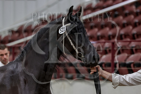 KraeInKS-4903