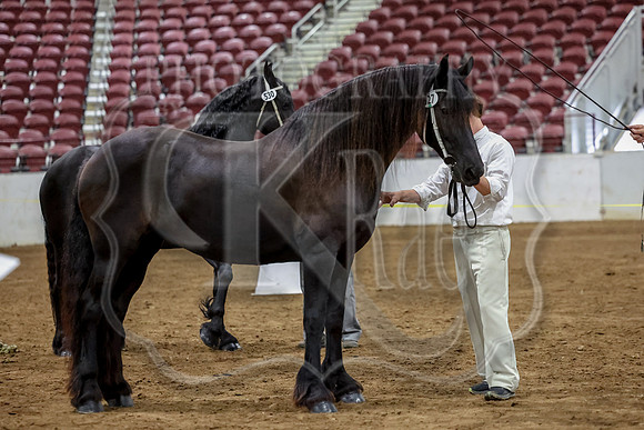KraeInKS-0268