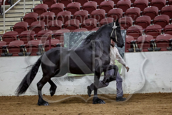 KraeInKS-0693