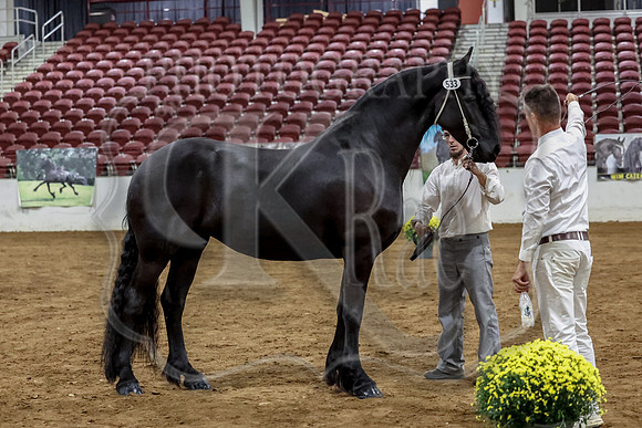 KraeInKS-0952