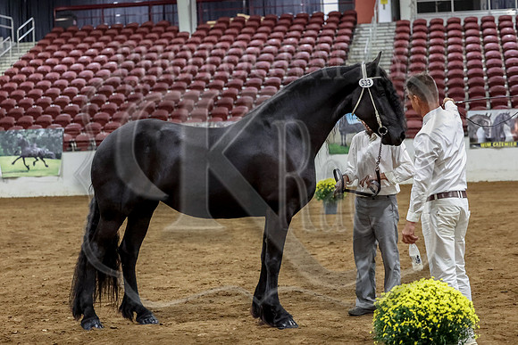 KraeInKS-0957