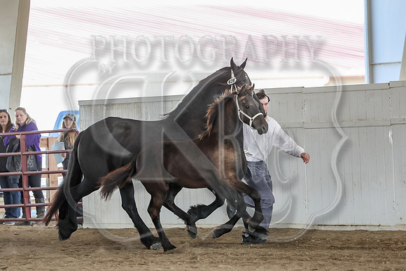 KraeOHK-9362