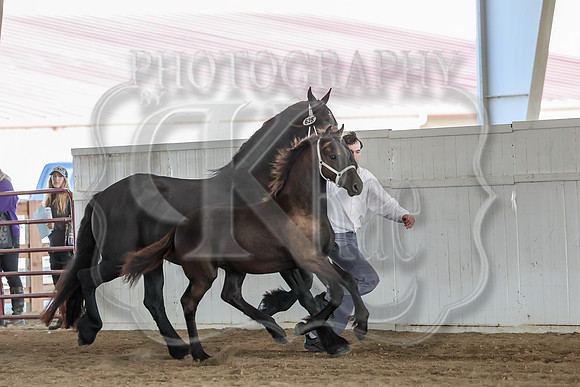 KraeOHK-9363