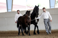 KraeOHK-9623